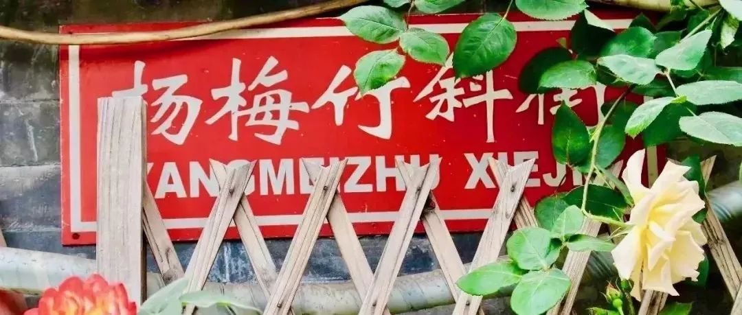 杨梅竹胡同花草堂 | 点滴力量助力美丽街区