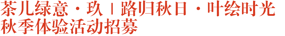 茶儿绿意·玖｜路归秋日·叶绘时光秋季体验活动招募